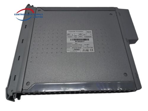 Модуль счетчика ICS Triplex TC50302 на складе