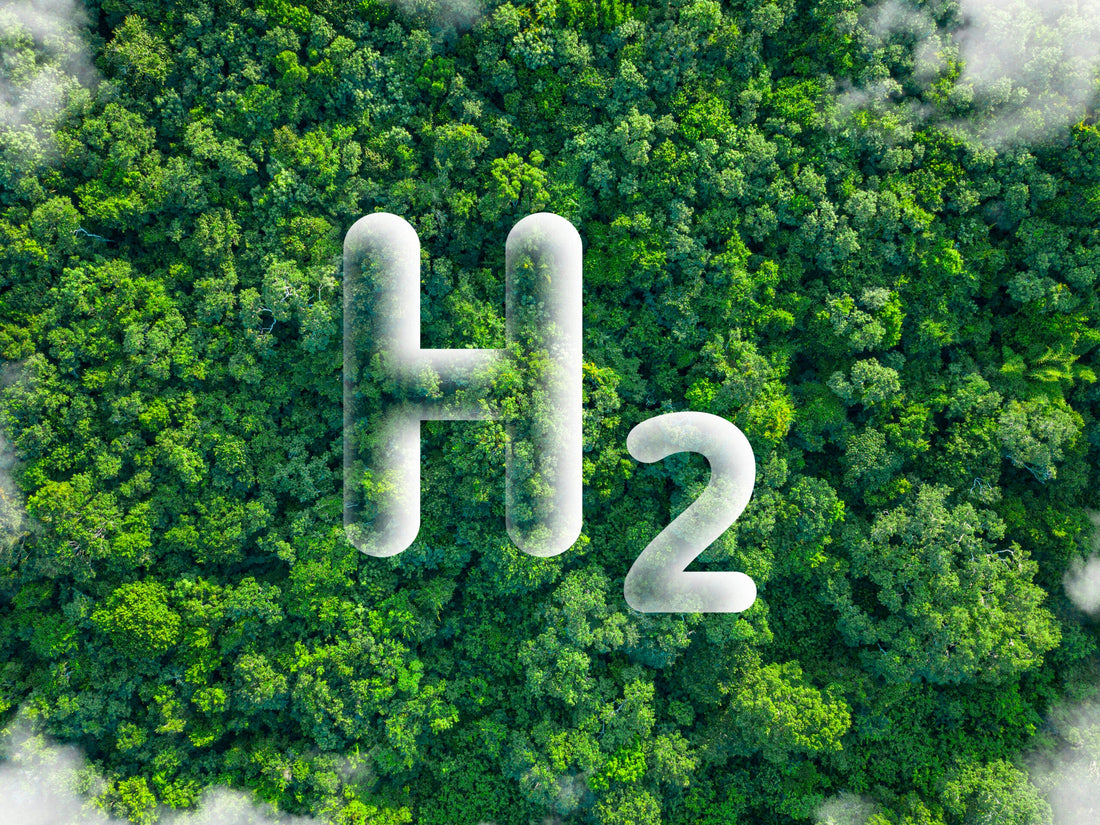 Can AI Really Power the Future of Green Hydrogen? Schneider Electric Thinks So