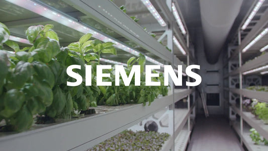 Siemens Brings Factory-Level Automation to Modern Greenhouses