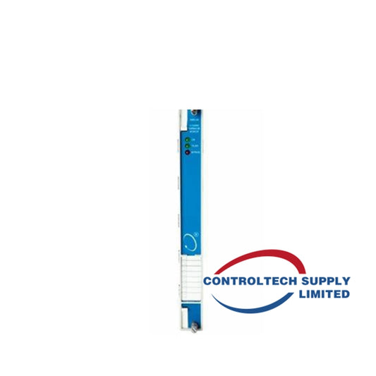 BENTLY NEVADA 3300/48-03-02-02-00 Monitor di Espansione del Caso