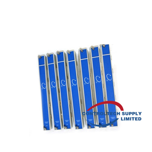 BENTLY NEVADA 100A1000 Drives/Control Module