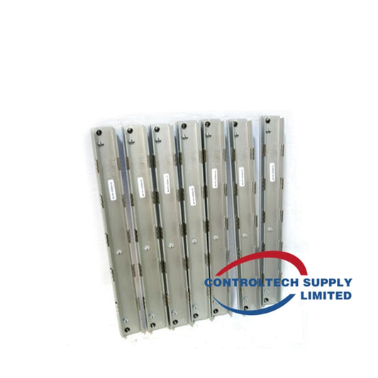 CWY-DO-810030-040-00 | BENTLY NEVADA Modulo Nuovo Arrivo