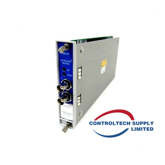 BENTLY NEVADA 3300/48-01-01-00-00 Monitor di Espansione del Caso