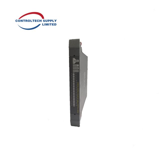 ICS TRIPLEX T9300 TMR PLC Module 100% New Original in Stock