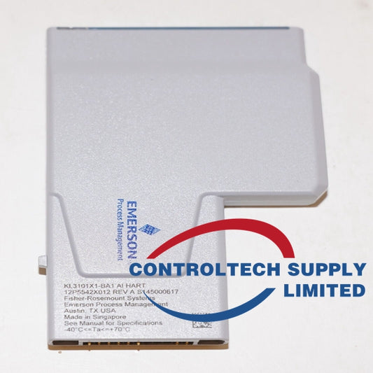 KL3103X1-LS1 | Emerson Process Management