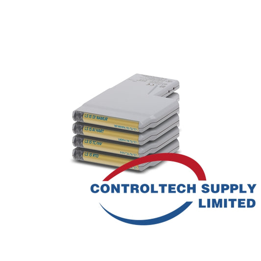 KL3106X1-BA1 | Emerson Process Management