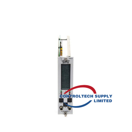 Bently Nevada 3300/16-15-01-03-00-00-02 Monitor di Vibrazione Doppio XY/GAP